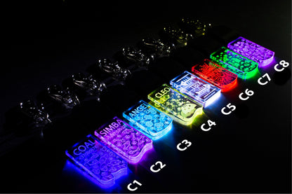 LED Dog/Cat Tag Keychain