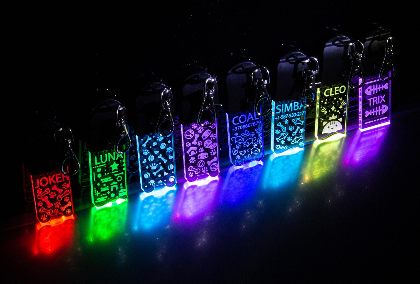 LED Dog/Cat Tag Keychain