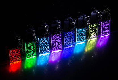 LED Dog/Cat Tag Keychain