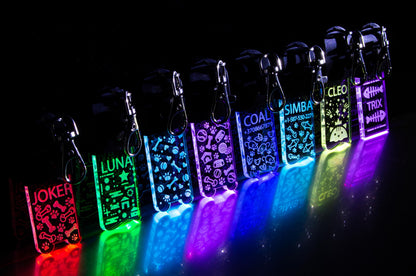 LED Dog/Cat Tag Keychain