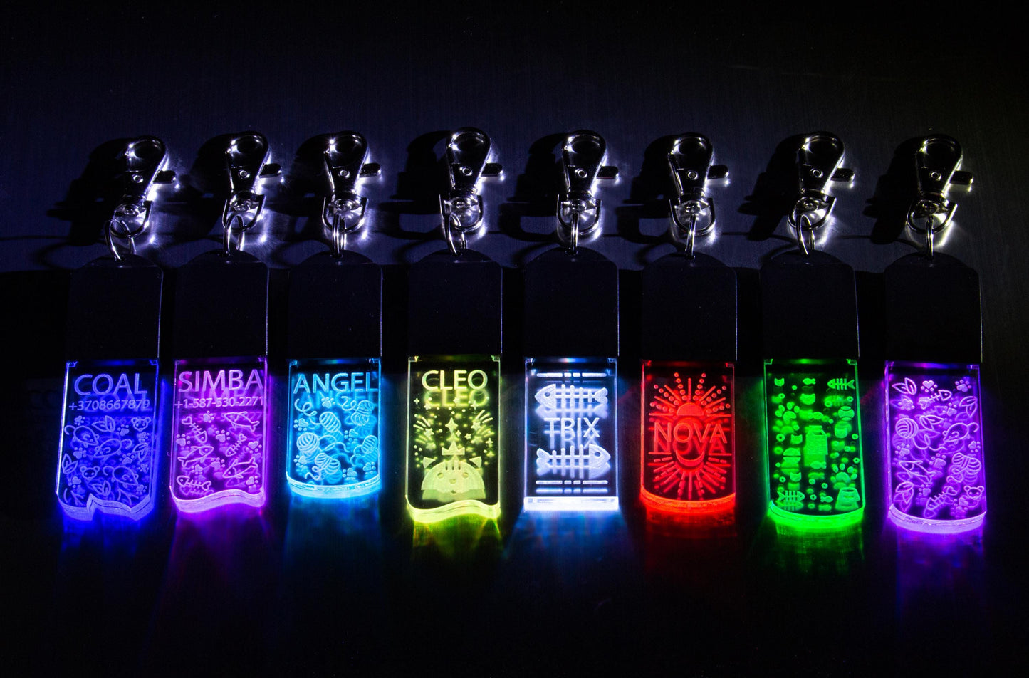 LED Dog/Cat Tag Keychain