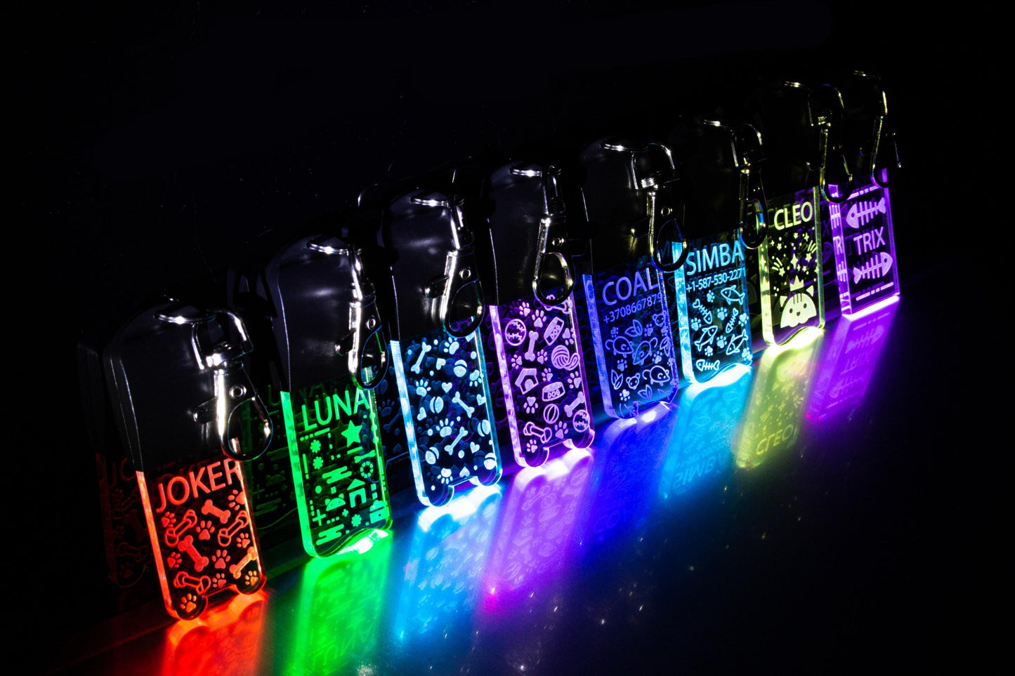 LED Dog/Cat Tag Keychain