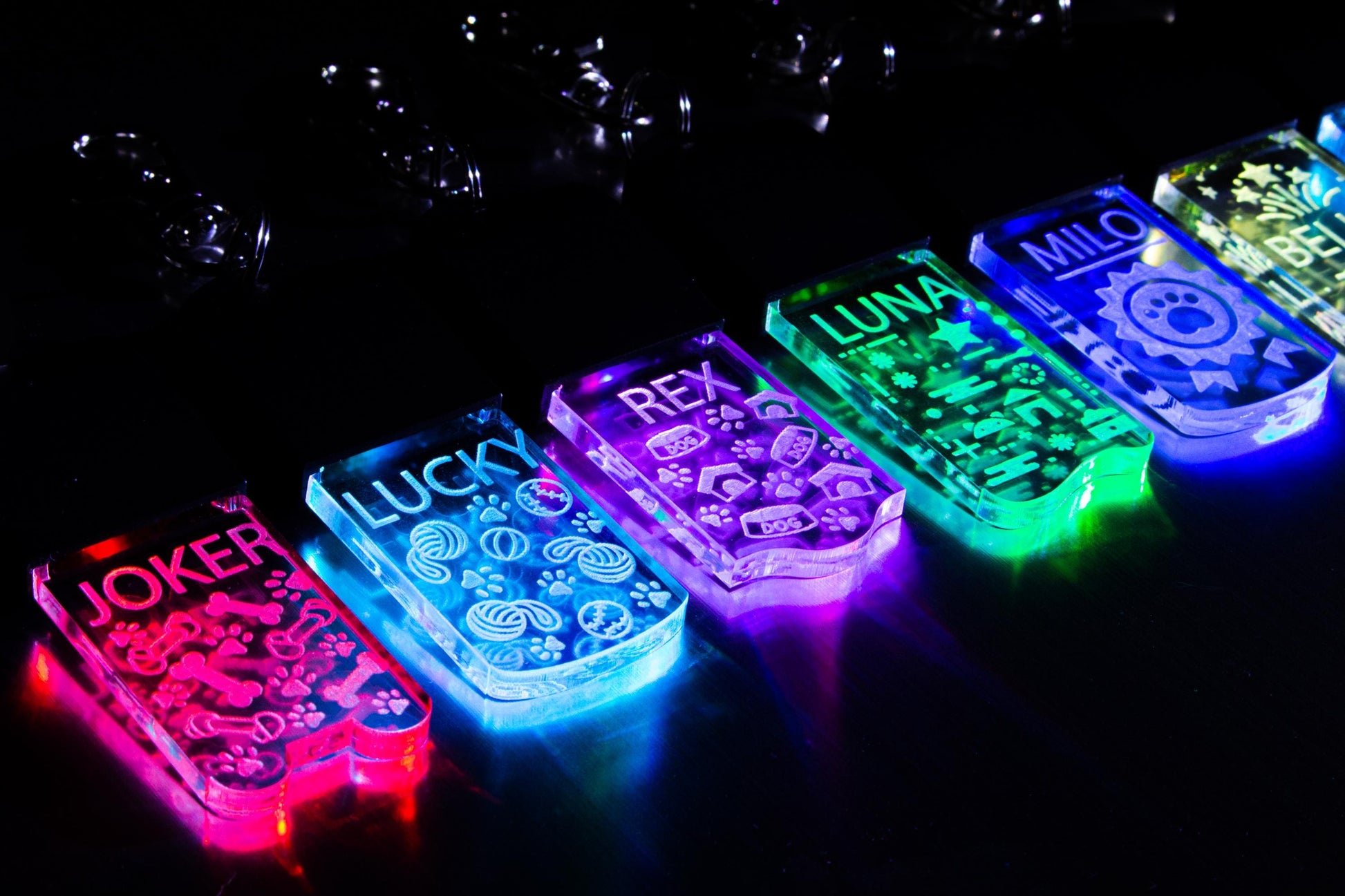 LED Dog/Cat Tag Keychain