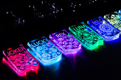LED Dog/Cat Tag Keychain