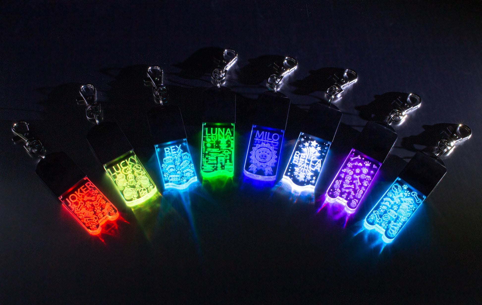 LED Dog/Cat Tag Keychain
