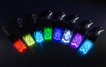 LED Dog/Cat Tag Keychain