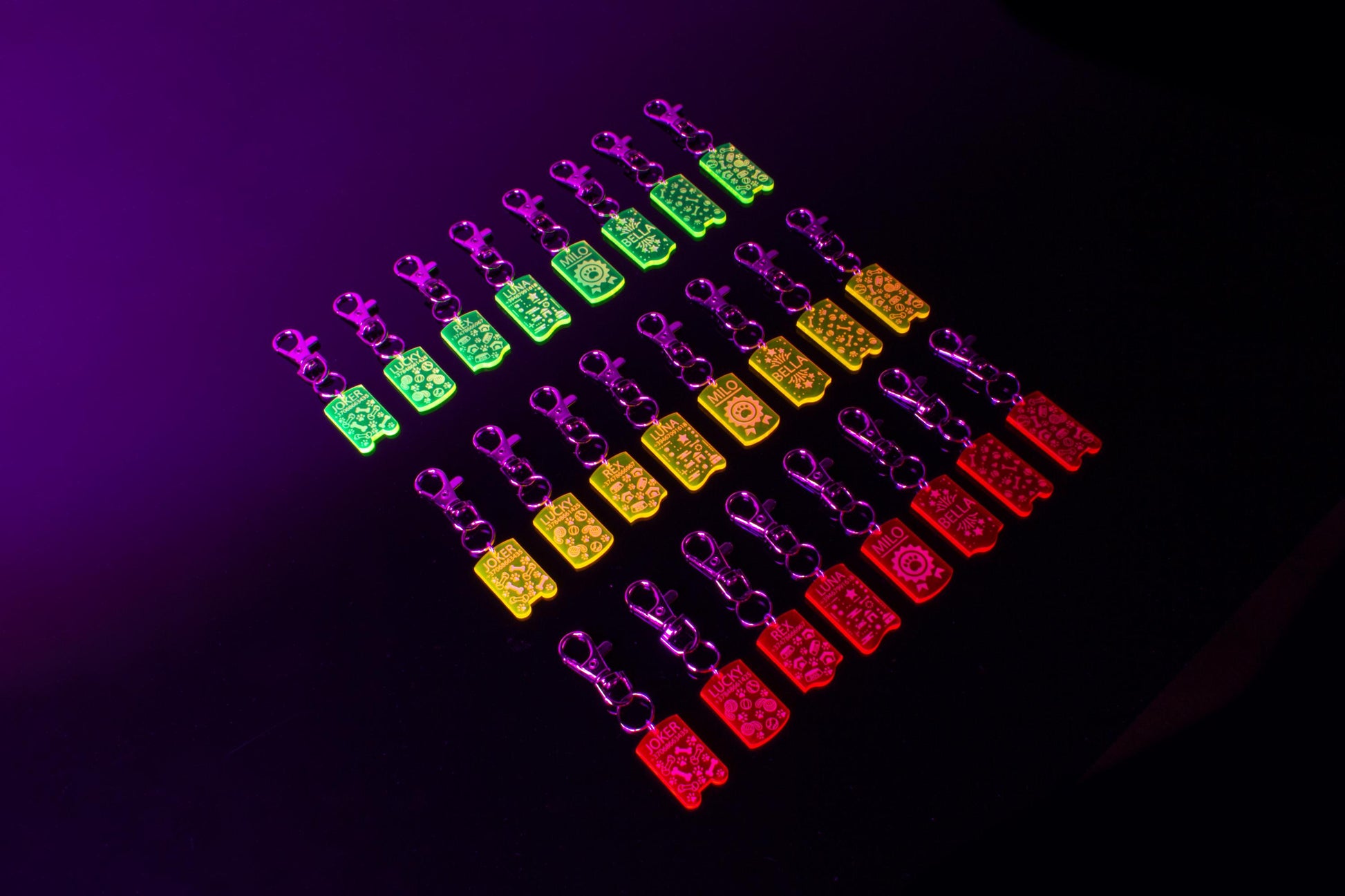Customizable UV Glow Dog ID Tag | Personalized