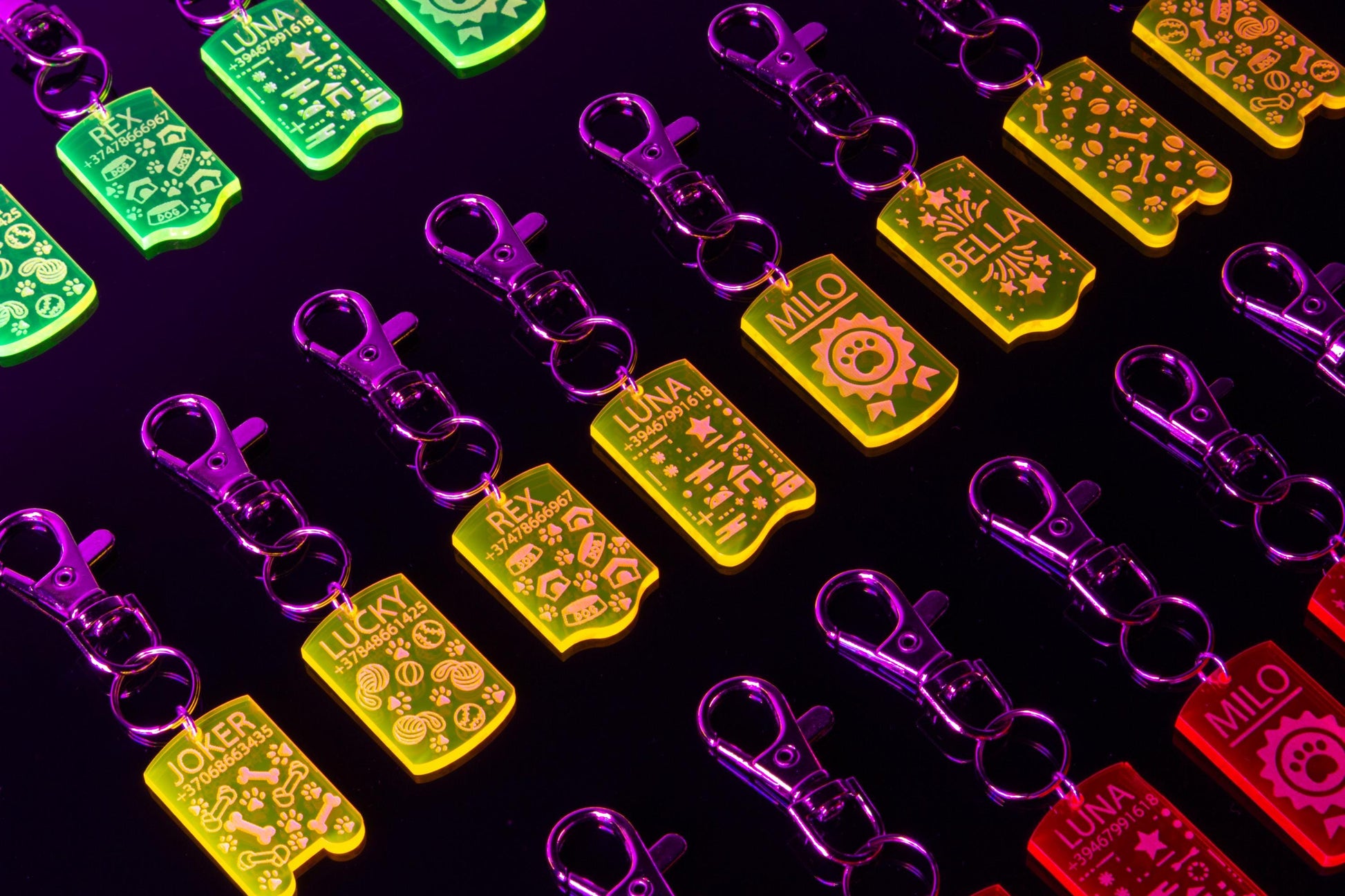 Customizable UV Glow Dog ID Tag | Personalized