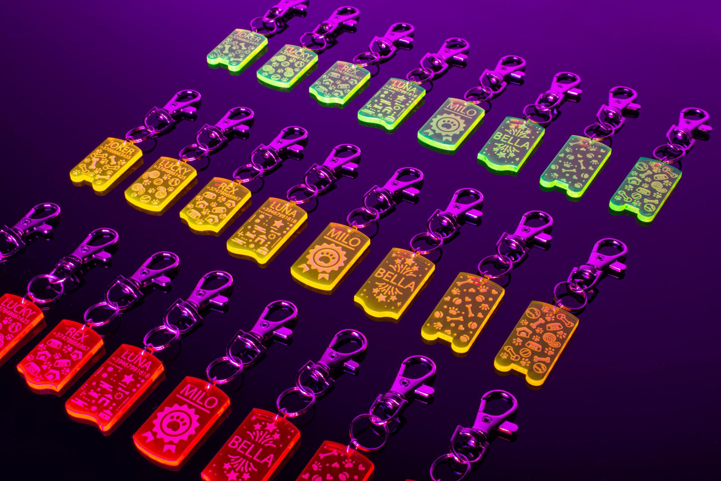 Customizable UV Glow Dog ID Tag | Personalized