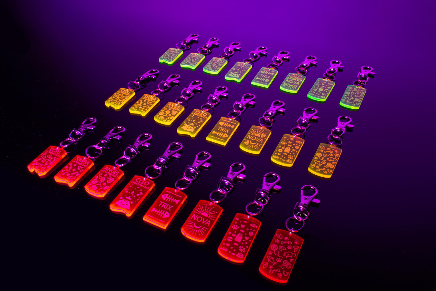 Custom Cat ID Tag | Custom