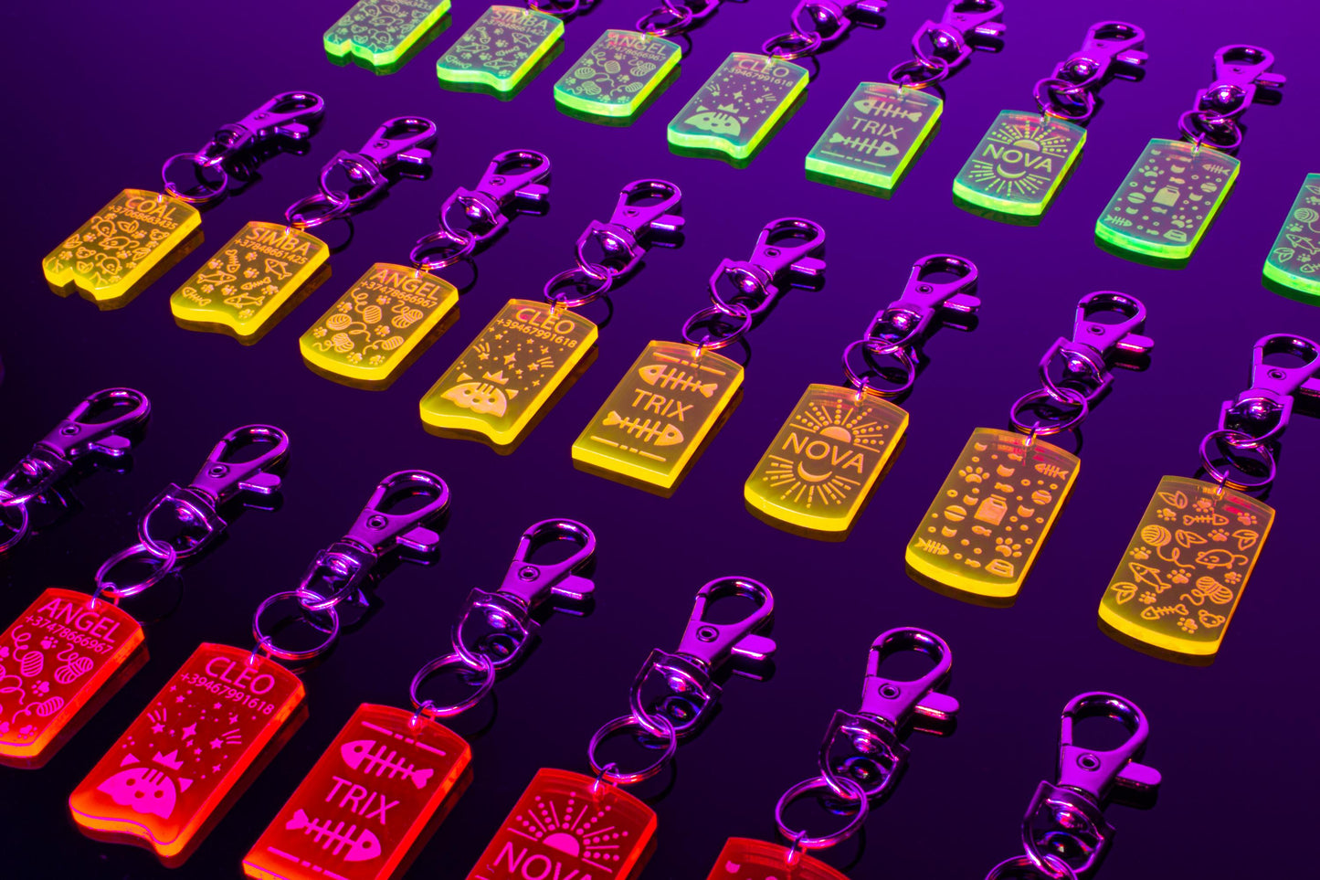 Custom Cat ID Tag | Custom