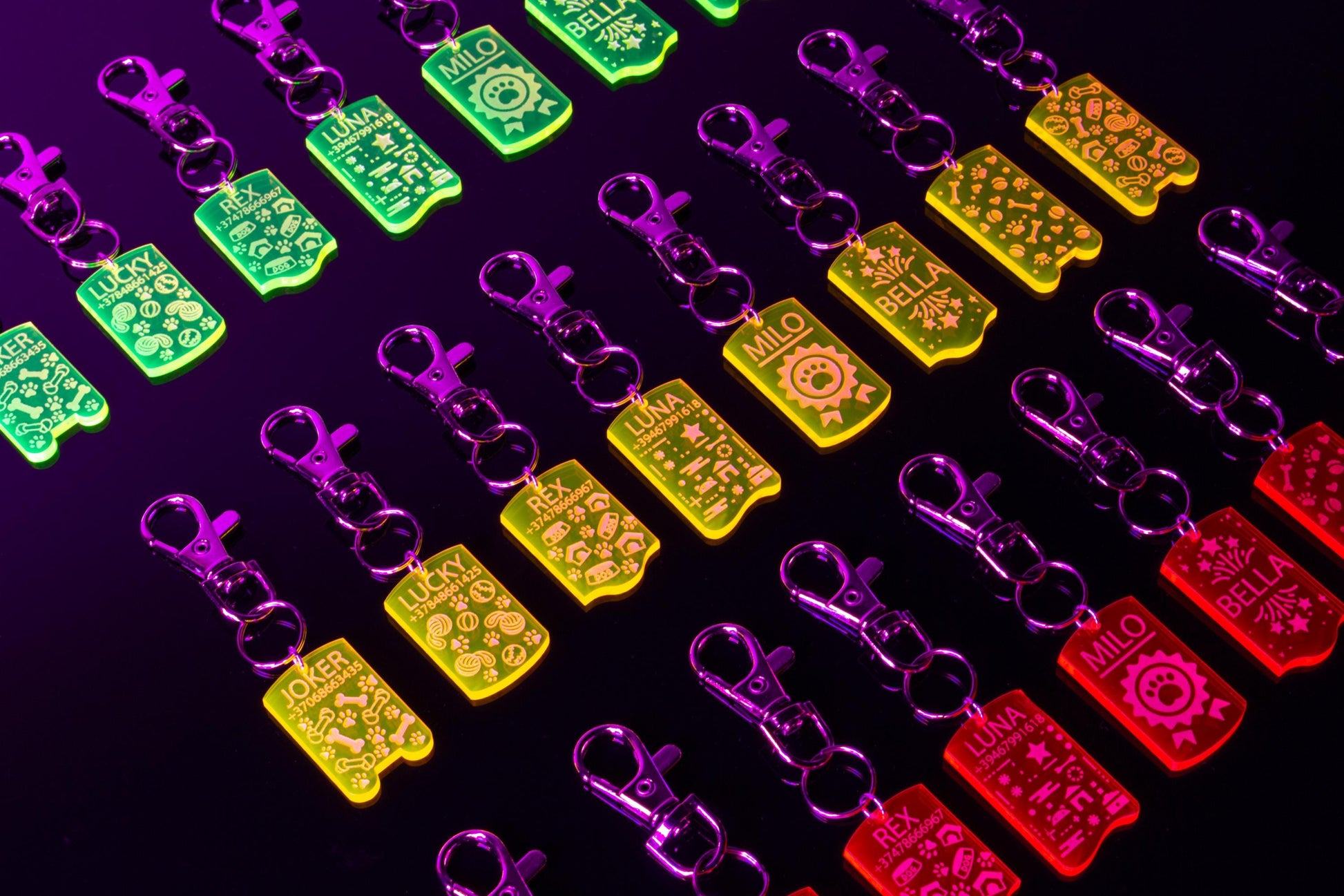 Customizable UV Glow Dog ID Tag | Personalized