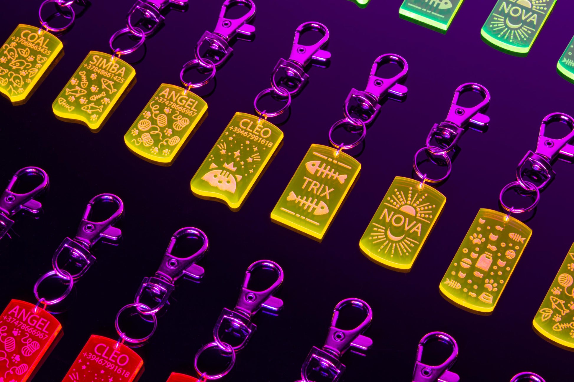 Custom Cat ID Tag | Custom